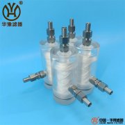 TZ216AI直通式水样过滤器新华供应